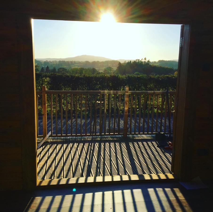Sunset Cabin Mold Extérieur photo